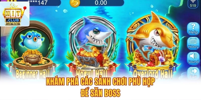 Mẹo Ăn Cá Boss Tại Hitclub – Hạ Boss Nhanh, Xu Về Đầy Túi 3 Khám phá các sảnh chơi phù hợp để săn Boss