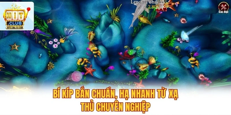 Mẹo Ăn Cá Boss Tại Hitclub – Hạ Boss Nhanh, Xu Về Đầy Túi 4 Bí kíp bắn chuẩn, hạ nhanh từ xạ thủ